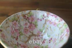 Shelley Maytime Chintz Black Oleander gold teacup tea cup saucer pink flowers