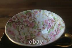 Shelley Maytime Chintz Black Oleander gold teacup tea cup saucer pink flowers