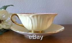 Shelley Oleander Teacup Cup & Saucer 13529 Yellow Floral Widemouth Gold Footed