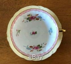 Shelley Oleander Teacup Cup & Saucer 13529 Yellow Floral Widemouth Gold Footed