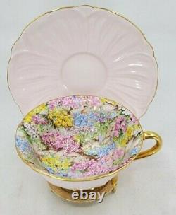 Shelley Pink Oleander Rock Garden Chintz Tea Cup And Saucer England