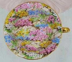 Shelley Pink Oleander Rock Garden Chintz Tea Cup And Saucer England