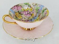 Shelley Pink Oleander Rock Garden Chintz Tea Cup And Saucer England