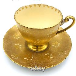 Shelley Ripon Shape Cactus Sheet Chintz Teacup & Saucer Gold #13097 Antique