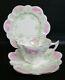 Shelley Wileman Foley Snowdrop Shaped Pink, Green Cameo Tea Cup, Saucer & Plate