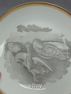 Spode Pattern 557 Bat Print Tea Cup Coffee Can & Saucer Trio Circa 1805-1810 E