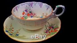 Star paragon garden hand painted pebbles wisteria tea cup saucer mint