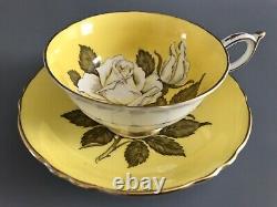 Stunning Rare Paragon Double Warrant Yellow / White Rose Teacup