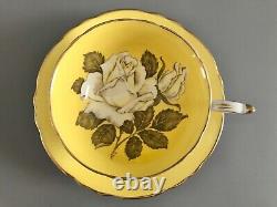 Stunning Rare Paragon Double Warrant Yellow / White Rose Teacup