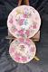 Taylor And Kent Longton China Teacup And Saucer Cabbage Rose On Pink