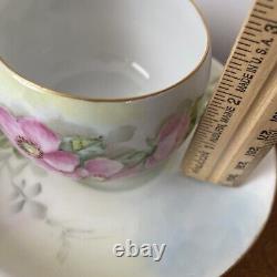 Thomas Bavaria Green Pink Floral 3 Piece Dessert Plate Teacup & Saucer Sets 12pc