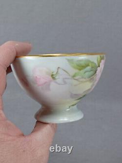 Thomas Hand Painted Sherratts Pink & Purple Floral Pedestal Tea Cup & Saucer A