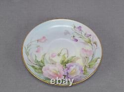 Thomas Hand Painted Sherratts Pink & Purple Floral Pedestal Tea Cup & Saucer A