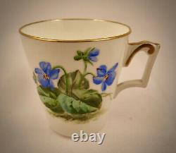 Unique Antique Brownfield Trembleuse Tea Cup & Saucer, Aesthetic Style