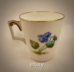 Unique Antique Brownfield Trembleuse Tea Cup & Saucer, Aesthetic Style