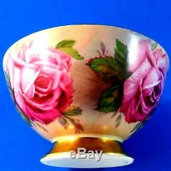 Very Rare Stunning Huge Cabbage Roses Aynsley Tea Cup and Saucer