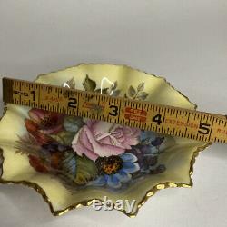 Vintage Aynsley Bone China Sweet Meats Pickle Plate JA Bailey Cabbage Rose Gold