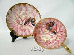 Vintage Aynsley Butterfly Chrysanthemum Tea Cup & Saucer Pink / Gold Bone China