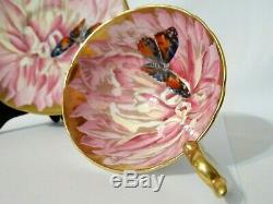 Vintage Aynsley Butterfly Chrysanthemum Tea Cup & Saucer Pink / Gold Bone China