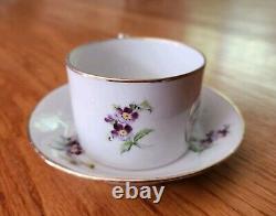 Vintage Richard Ginori 1735 Voliere Tea Cup & Saucer Set Love Birds Italy 7-49