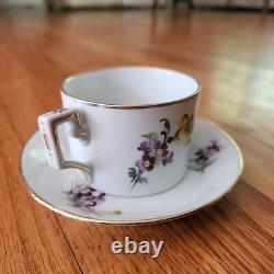 Vintage Richard Ginori 1735 Voliere Tea Cup & Saucer Set Love Birds Italy 7-49