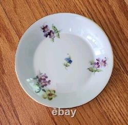 Vintage Richard Ginori 1735 Voliere Tea Cup & Saucer Set Love Birds Italy 7-49