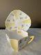 Vintage Shelley Queen Anne Yellow Tea Cup And Saucer Very Rare